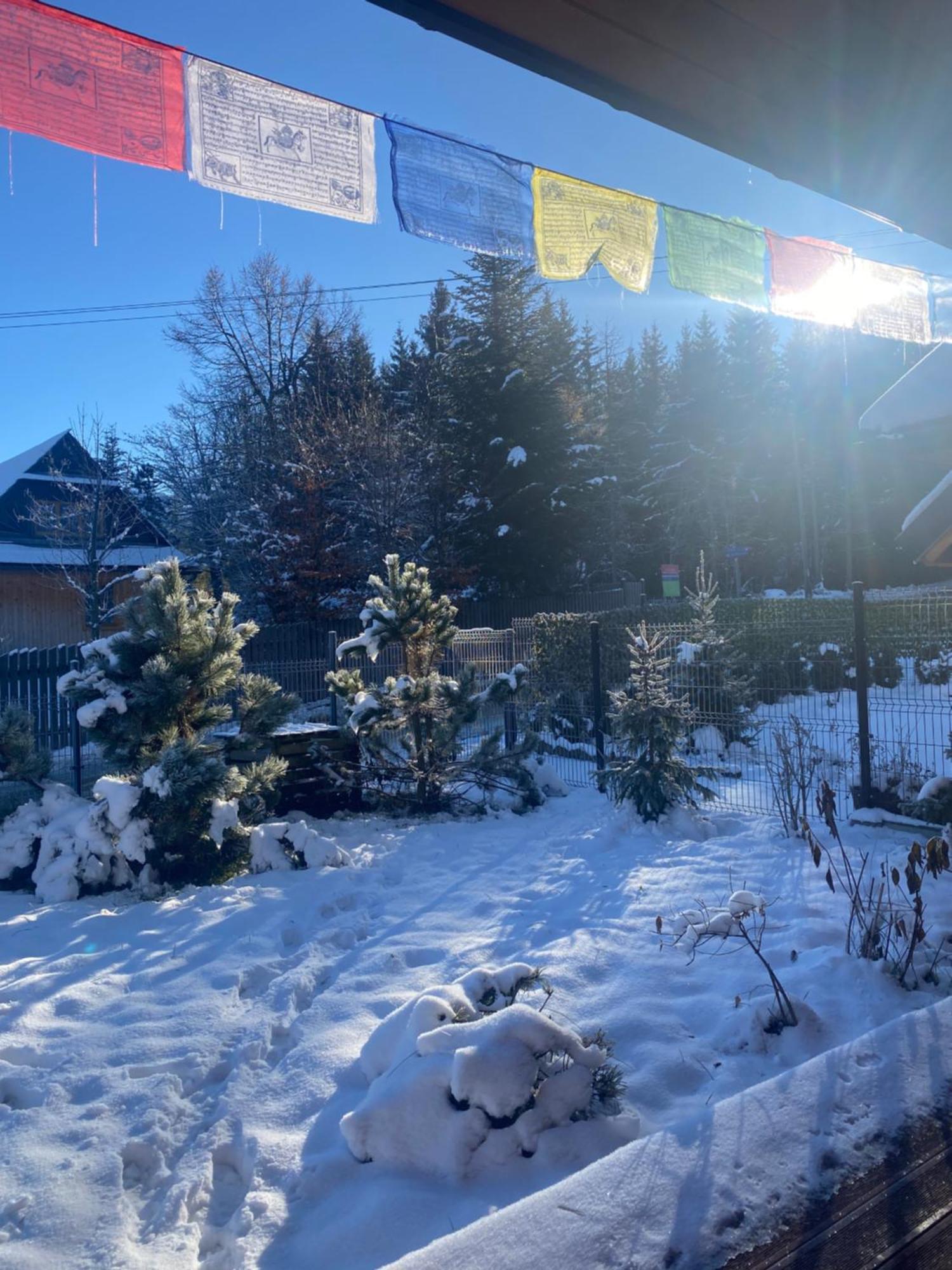 Punkt Kościelisko, dom górski 800 m od doliny Kościeliskiej Exterior foto